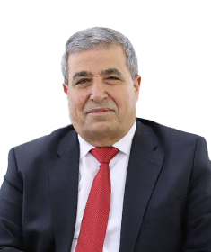 السيد محمد أبو عوض